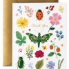 Curio Thank You Card