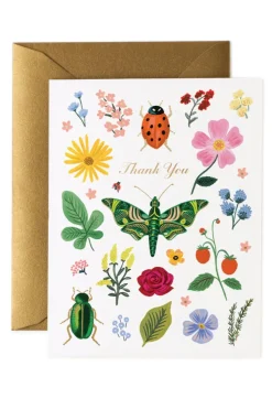 Curio Thank You Card