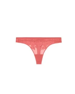 Heloise Thong - Size XS, M