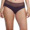 Norah Chic Shorty